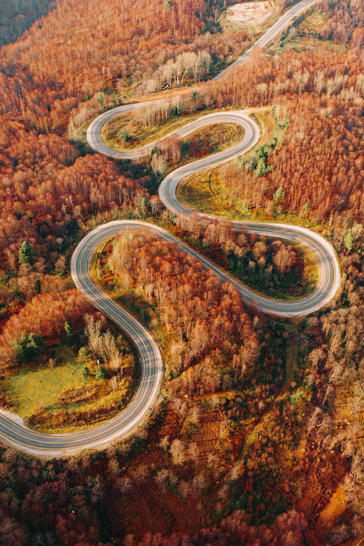 De weg naar het succes